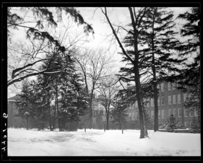Campus views (1940 Kentuckian) (University of Kentucky); exterior                             view of building and trees