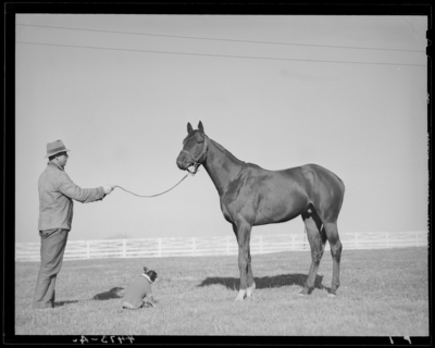 Mrs. R. Martin; horse standing in the pasture, dog sitting                             besides the horse, man holding the horse by the reins