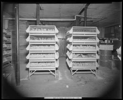 Kentucky Hatchery, 333 West 4th (Fourth); baby chicks (chickens)                             in racks (cages)