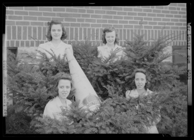 North Middletown High (School); exterior, four cheerleaders                             standing in the bushes