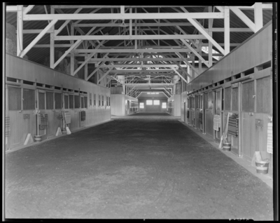 Dixiana Farm, (Russell Cave Road); horse stables,                             interior