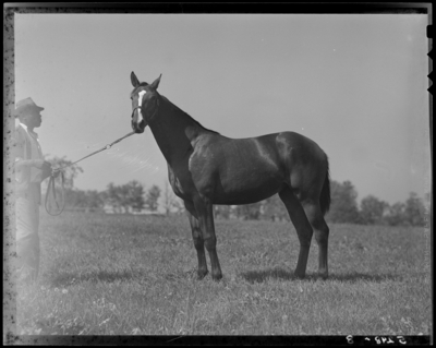 Keeneland; Barn II, horse standing outside of barn