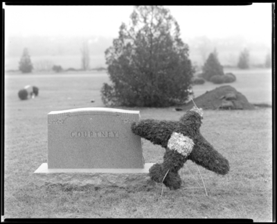 Courtney (name on headstone); grave, Hillcrest Memorial Park                             (cemetery, Versailles Pike); floral arrangement in the shape of an                             airplane placed on grave; photograph ordered by Ferdinand Keller (Keller                             Florists)