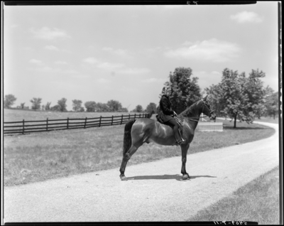 Mrs. Thomilson; Elmendorf Farm; woman on a horse