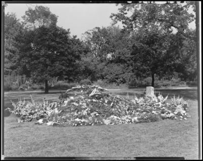 William Mac Flynn; grave, flowers