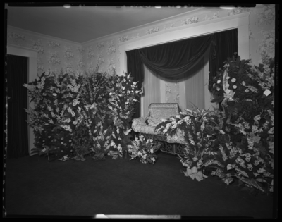 Mrs. Anna Miller; corpse; open casket surrounded by                             flowers