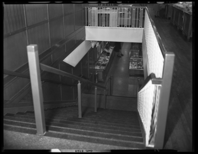 Montgomery Ward Company, 230-232 East Main; interior; stairs                             (stairwell)