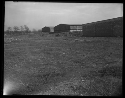P. Lorillard (Tobacco) Company (Price Road and Leestown Pike);                             ground leveling near buildings