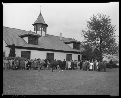 Whirlaway, Calumet Farm; horse being shown outside of                             barn