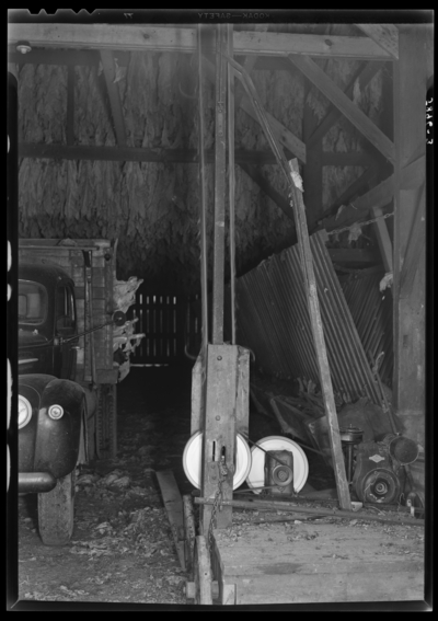 Tobacco scenes; tobacco being housed in barn by elevator engine,                             Joseph M. Jones (101 Romany Road)