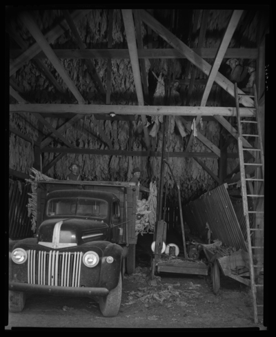 Tobacco scenes; tobacco being housed in barn by elevator engine,                             Joseph M. Jones (101 Romany Road)