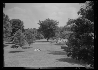 Georgetown College; campus scene; exterior; group gathered on the                             grass (lawn)