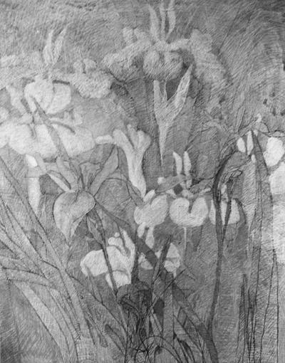 A pastel drawing of irises by John Tuska