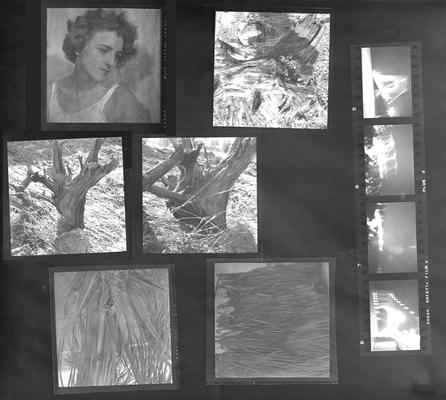 A proof sheet of ten photographs of landscapes and one of a woman, taken by John Tuska while in the Navy