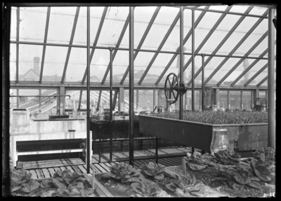 Vivarium, interior at the Agricultural Experiment Station