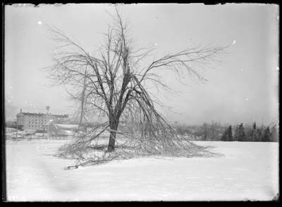 Effect of sleet on UK grounds. 2/3/1902