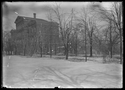 Effect of sleet on trees on UK grounds. 2/3/1902