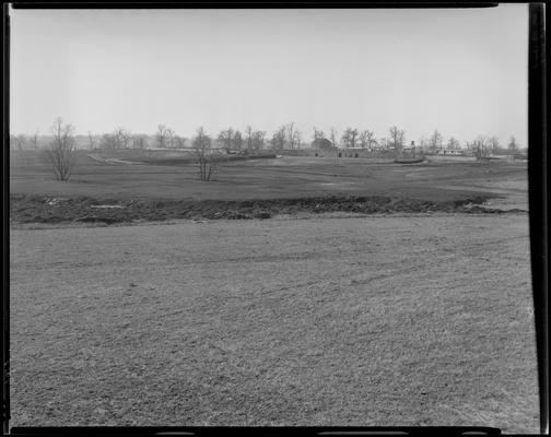 Narcotic Farm; views