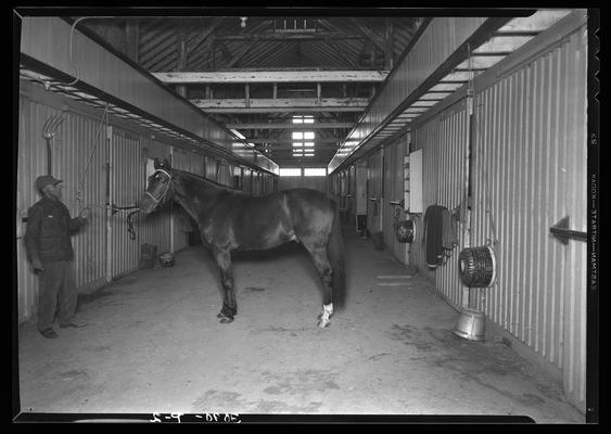 Dick Reynolds Stable; barn and horse