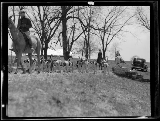 J.E. Madden; hounds (hunting dogs)