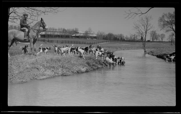 J.E. Madden; hounds (hunting dogs)