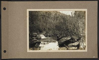 Two creeks coming together, large rocks and small trees in between