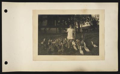 Young girl wearing white dress with embroidery holding a corn cob and feeding couple dozen ducks, porch with white lattice underneath, horse in background