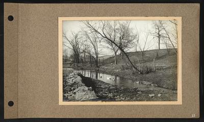 Small creek with two ducks swimming, wooden posts and fencing running along right bank, rocks built up along left bank, small road in left background