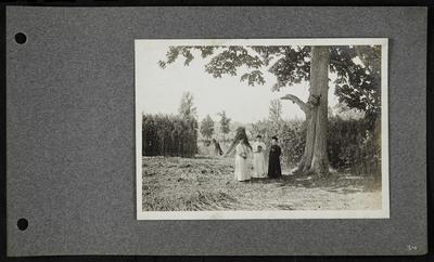 Three women standing under a large tree in hemp field, two wearing white, one wearing black, woman in middle holding a camera