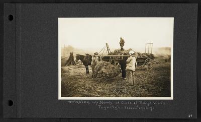 Cart of hemp with man standing on top, two horses drawing cart, two men holding a bundle of hemp hung off wooden plank, man observing, notation                          Weighing up Hemp at Close of Day's work. Forgarty's - season 1906-7
