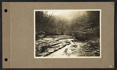 Wide creek with small tiered waterfalls