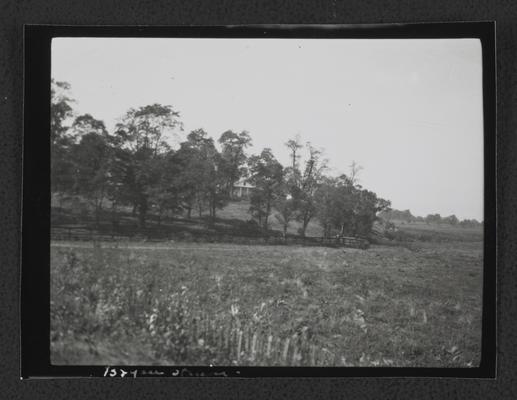 House behind trees at Bryan Station