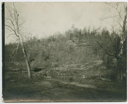 Dirt ground with trees and a wooden fence at the base of a mountain. Back of the photograph reads: Rowan County hills near Paragon