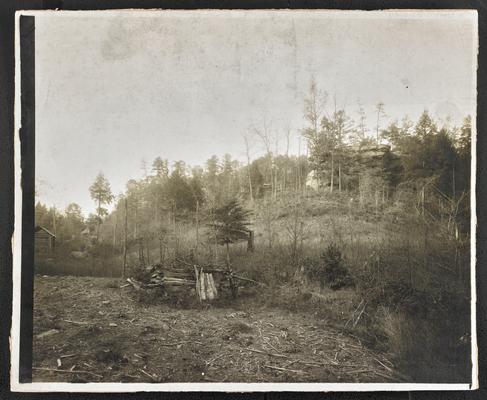 Ruins of log cabins in the woods, location unknown