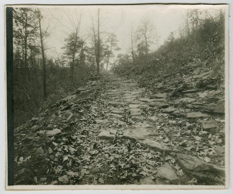 A rocky mountain road in the mountains. Back of the photograph reads: The Mountain Child- His Environment. A 'rocky' mountain road