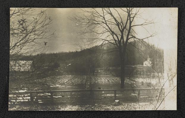 Large field with trees in the background, white building in the background (possibly a school building), location unknown