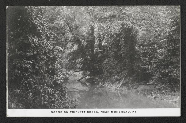 Scene on Triplett Creek, near Morehead, Kentucky