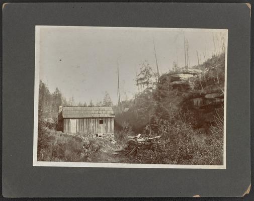 Mountain home- a dilapidated frame cabin at the bottom on a hill