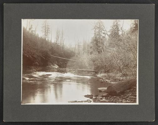 Pond in the middle of a forest, location unknown