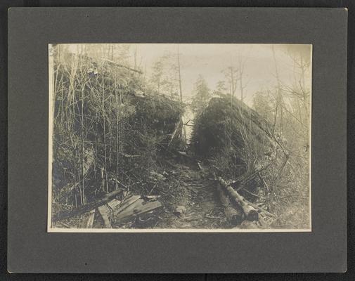 A path cut through the trees in the forest, location unknown