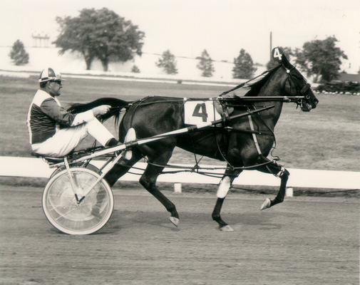 Horses; Buck Passer; Elizabeth; Cupid's Arrow running a race in 1969