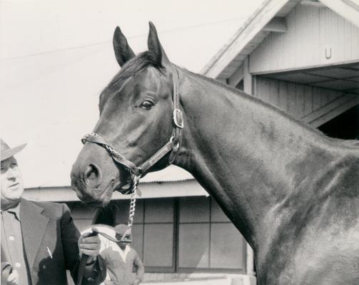 Horses; Great Redeemer; Judger; Iron Liege at the KY Derby in 1957
