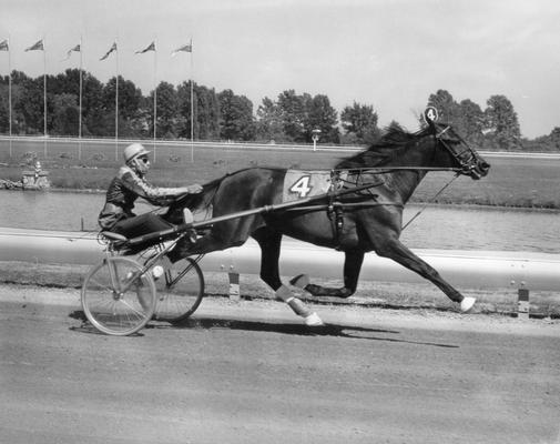 Horses; Nashua; Nevele Pride; Nevele Pride racing in 1967