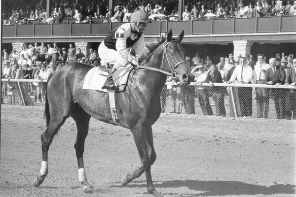 Horses; Niatross; Right Time; Northern Dancer and jockey at Keeneland, 1964