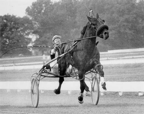 Horses; Riley; Speed Supreme; Skoal running a trial in 1969