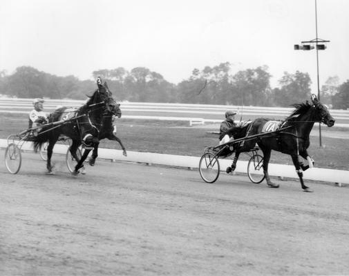 Horses; Riley; Speed Supreme; Speed Model racing in 1967