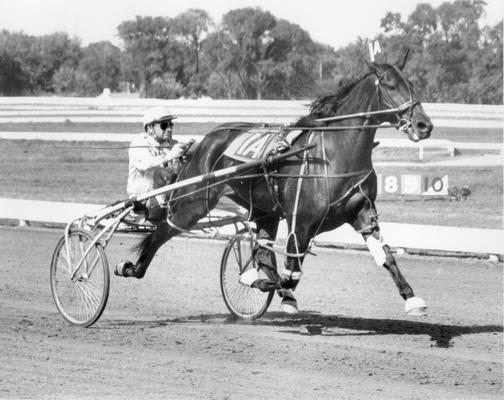 Horses; Speedy Crown; Tulyar; Sunnie Tar coming in at 1:57 in 1968