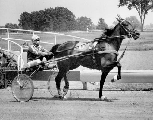 Horses; Speedy Crown; Tulyar; Super Bowl and driver in 1972