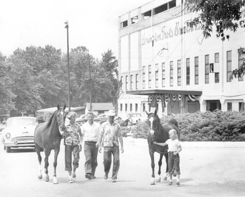 Horses; Harness Racing; Lexington Trots Breeders Association; 1953 Lexington Trots horse show