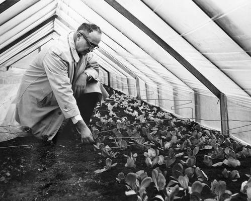 Emmert, Emery Myers, born 1900, died 1962, Professor of Horticulture 1928-1962, pictured in greenhouse